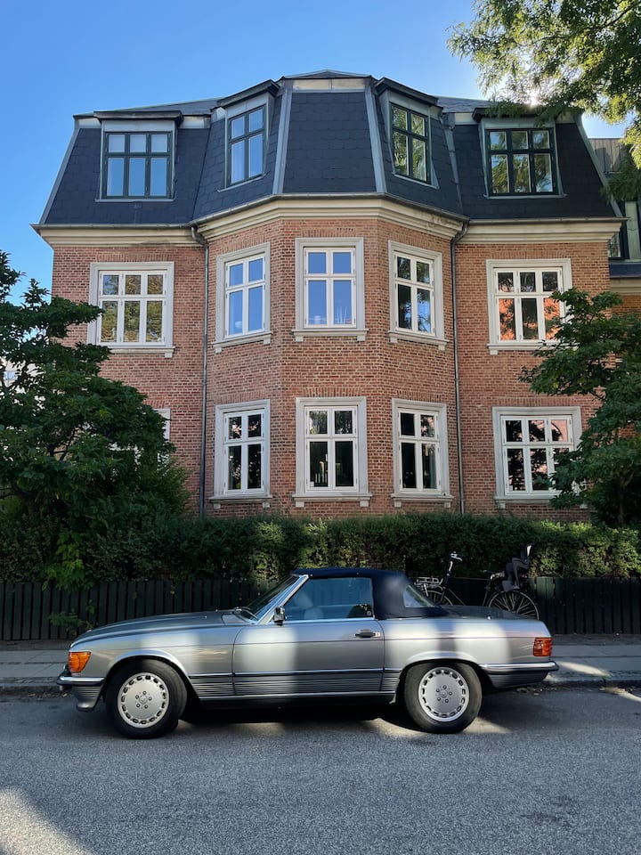 Two Floor Top Apartment - Copenhagen