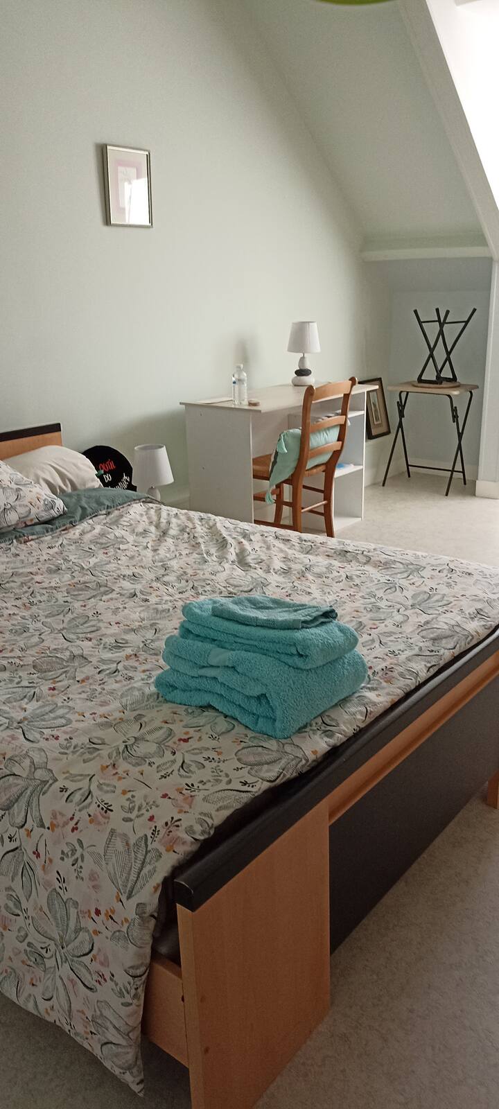habitación de 17 m2 bien iluminada (vistas al patio)
Escritorio WiFi
mesa pequeña y taburete cómodo estante perchero abrigo
