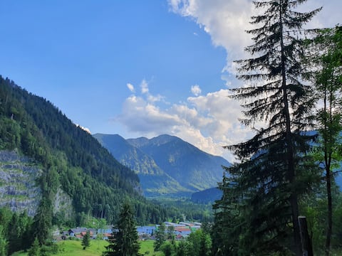 To Schorschi