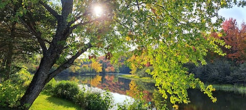 Riverside Cottage! Come and Relax!