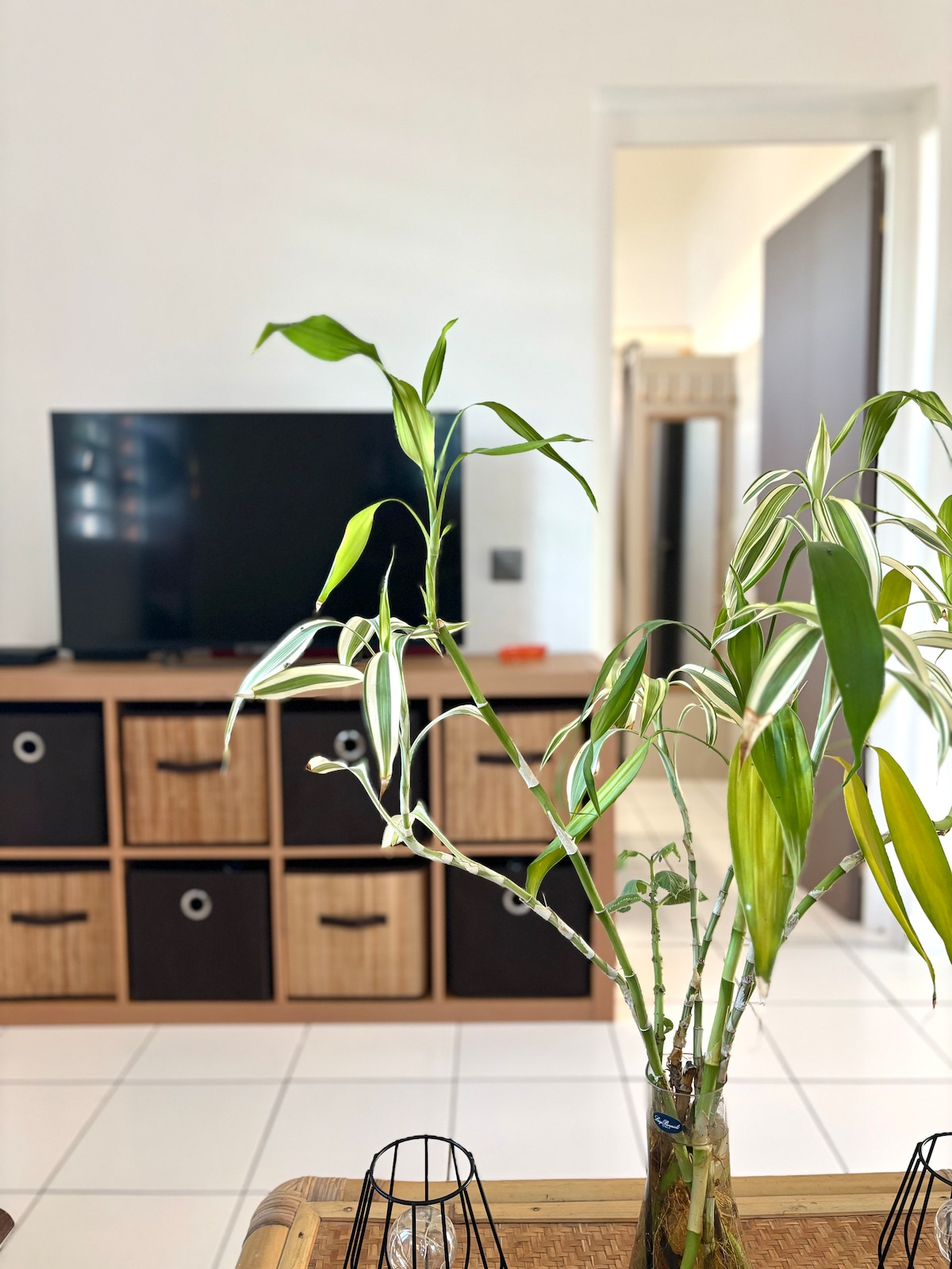 A corner of the living area is highlighted by a lush green plant, with slender leaves contrasting against a wooden storage unit featuring square woven baskets. A flat-screen TV is positioned on the wall opposite, visible through an open doorway leading to a bathroom.