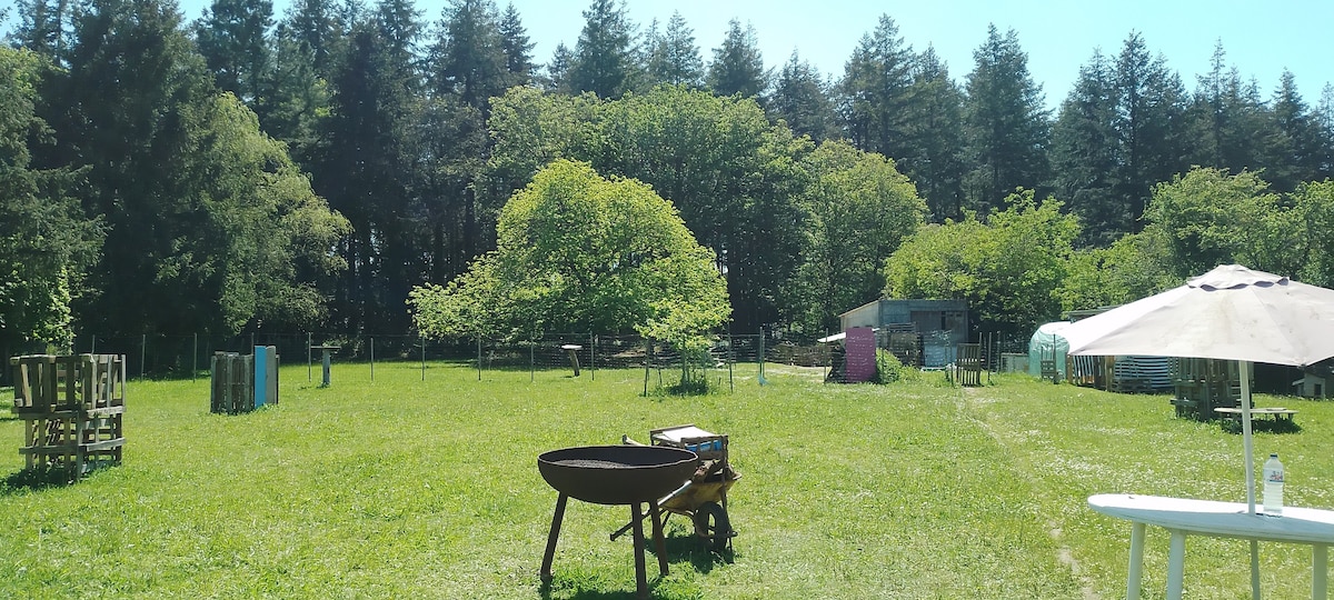 A spacious outdoor area is surrounded by lush greenery and trees. A fire pit is positioned in the foreground, with benches nearby. In the distance, several structures such as a caravan and mobile home are visible, along with areas for tents.