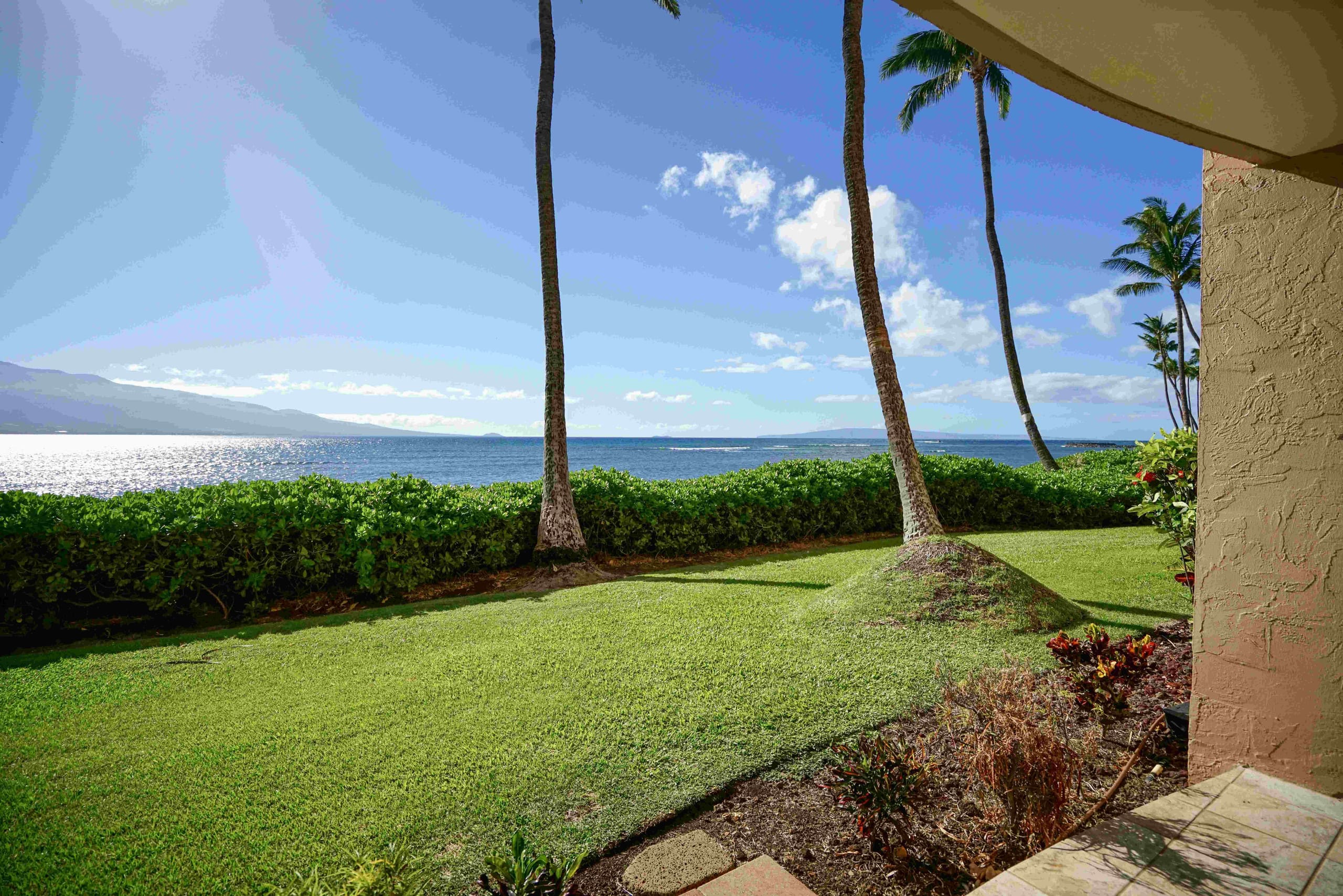 Condo in Wailuku · ★4.96 · 1 bedroom · 2 beds · 1 bath - Image 26