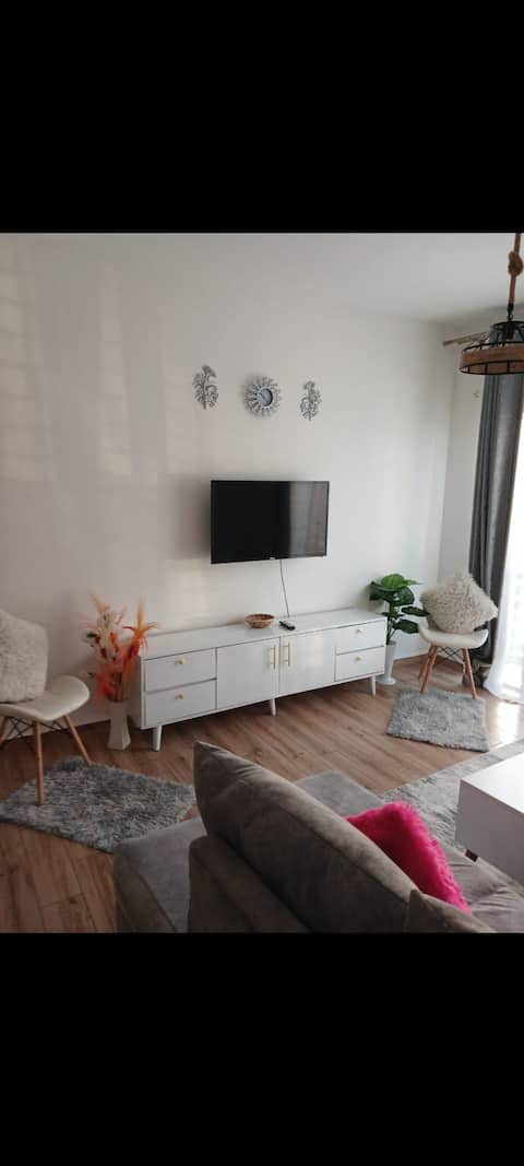 Lovely Apartment in Tatu City