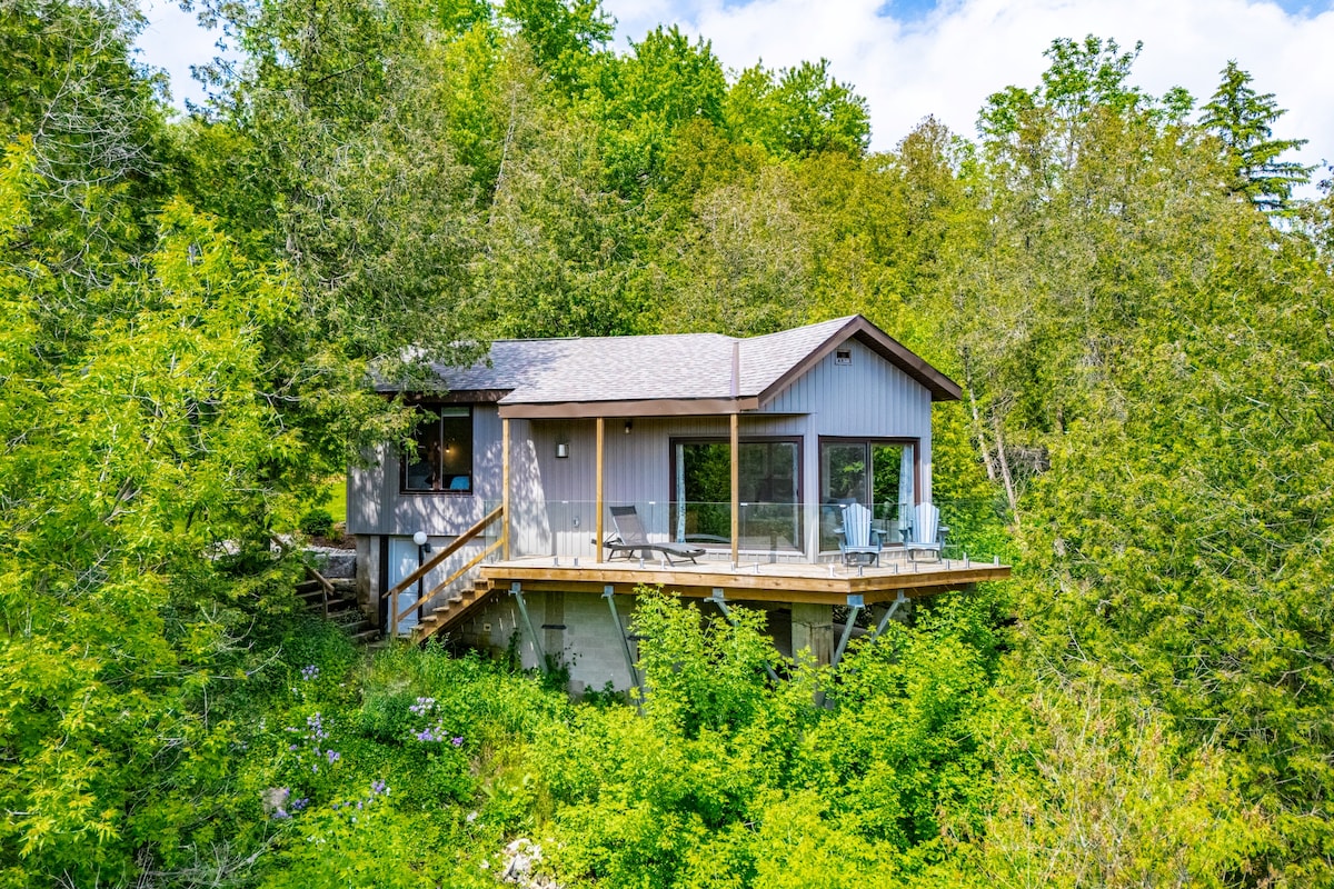 A cabin surrounded by lush green foliage is seen from above, with a wooden deck extending outward. Large windows invite natural light into the open space, and outdoor seating is positioned on the deck, offering a serene view of the surrounding trees.