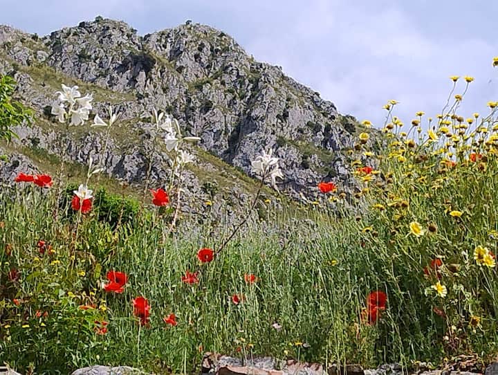 Borgo Del Sole - Un Antico Borgo Tutto Per Te - Campania