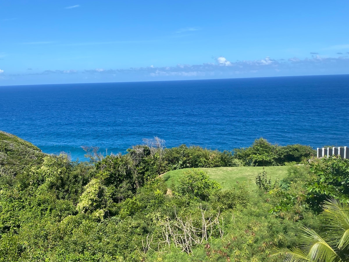 An expansive view of the ocean is presented, framed by lush greenery. The deep blue water meets the horizon under a clear sky, creating a serene and tranquil atmosphere. The scene captures the natural beauty of the coastal landscape.