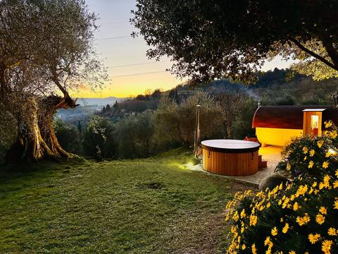 Montebello degli Olivi - Apartment