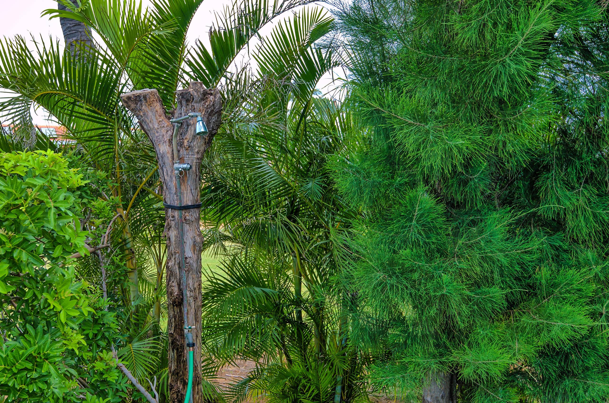 Home in Kihei · ★5.0 · 2 bedrooms · 4 beds · 3 baths - Image 41