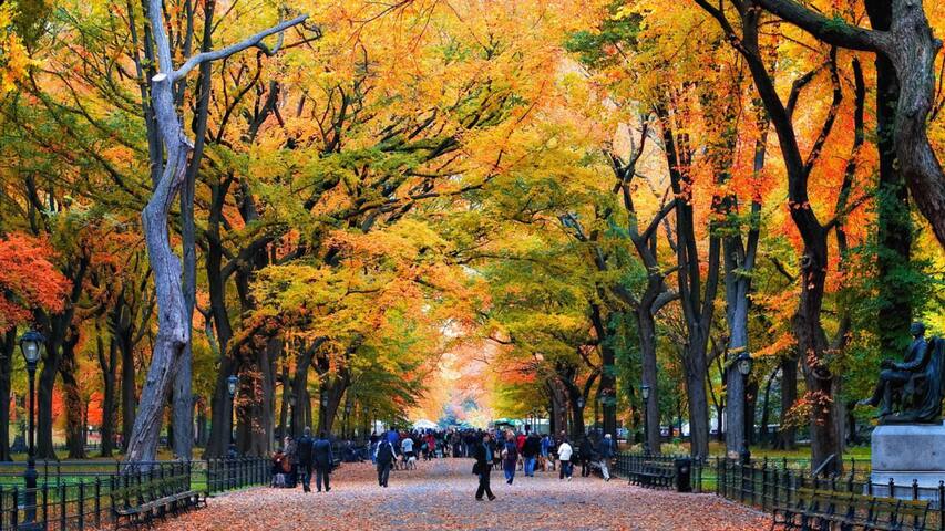 Modern 2 Bedroom near Central Park | Safe | Quiet gallery image 3