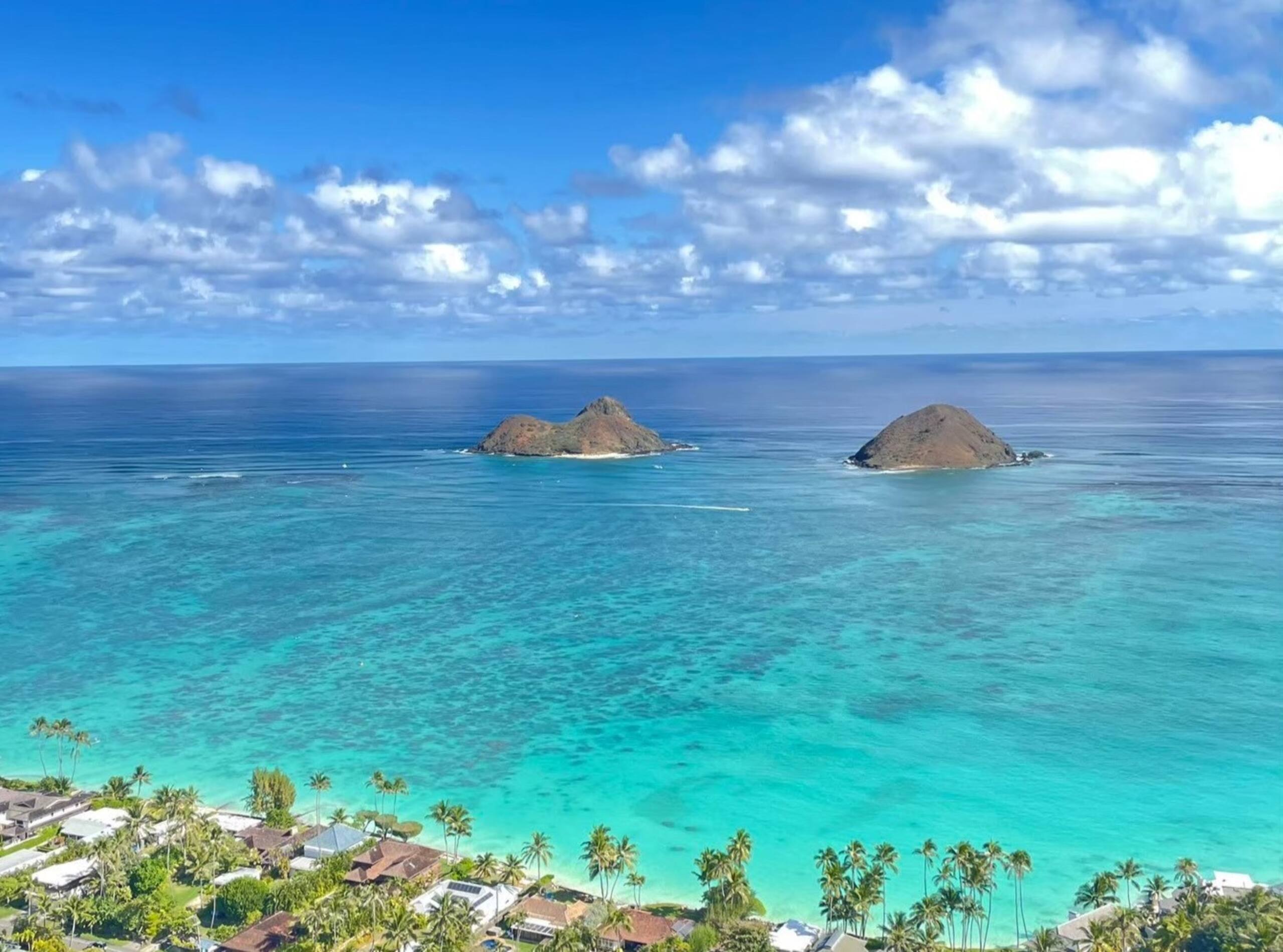 Condo in Honolulu · ★4.68 · Studio · 1 bed · 1 private bath - Image 40