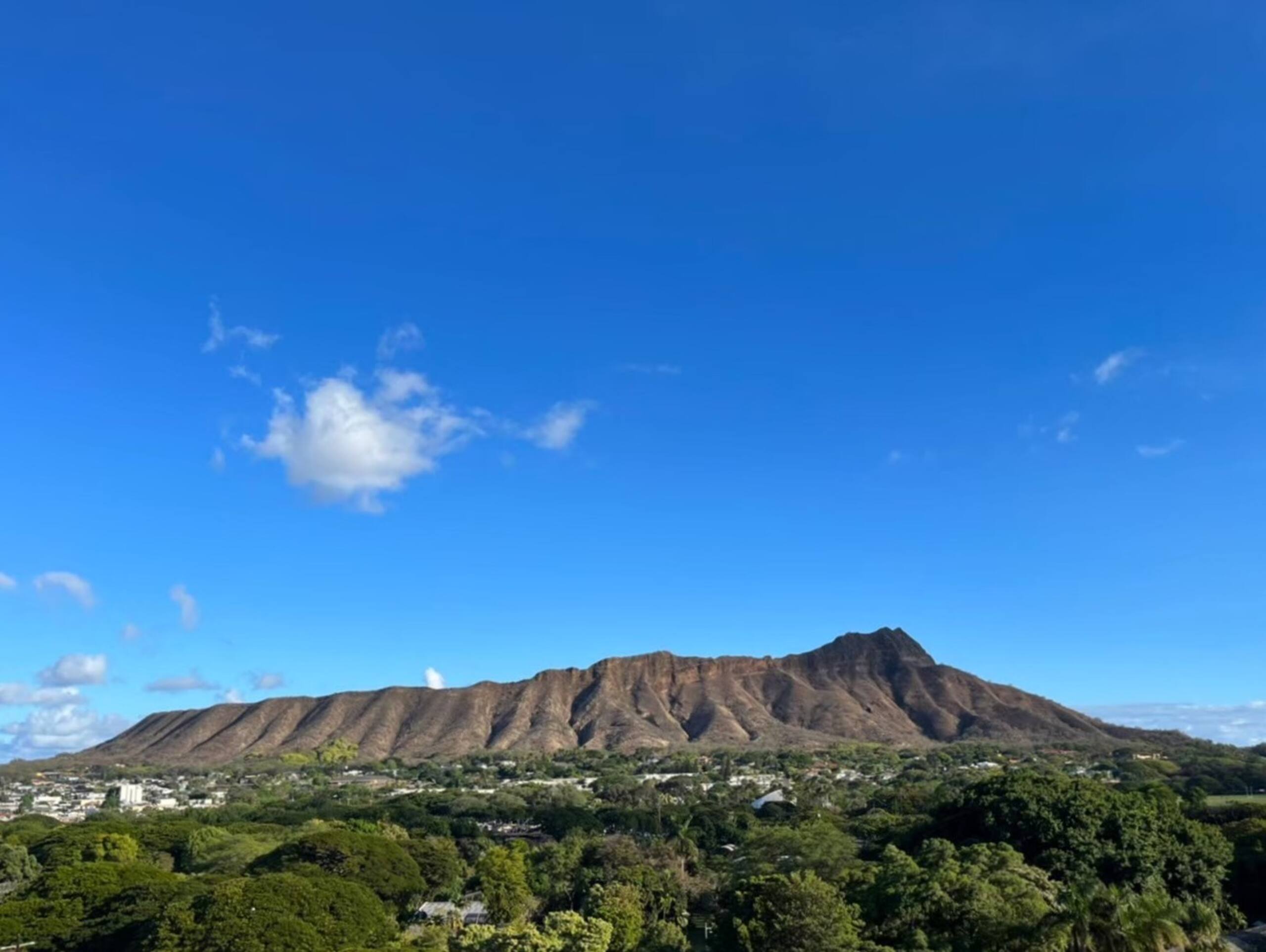 Condo in Honolulu · ★4.9 · Studio · 1 bed · 1 bath - Image 36