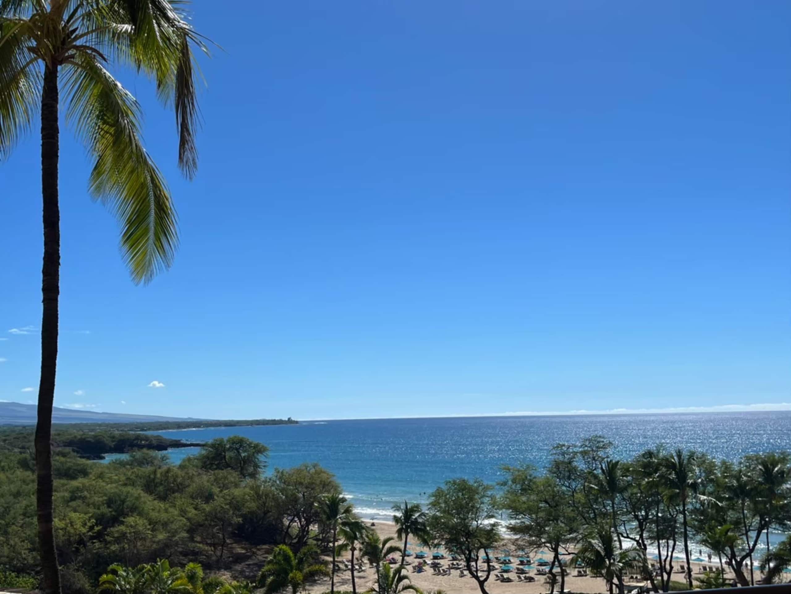 Condo in Honolulu · ★4.61 · Studio · 1 bed · 1 private bath - Image 33