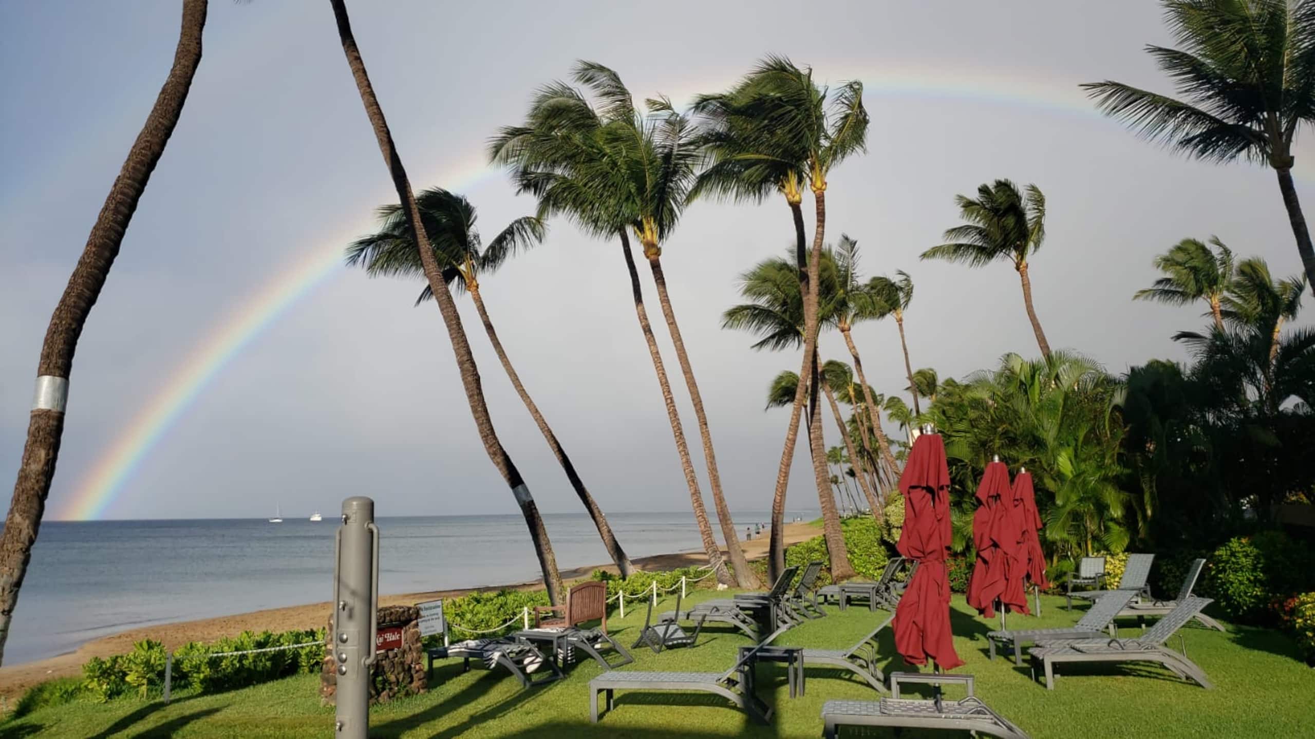 Condo in Kihei · ★4.93 · 1 bedroom · 3 beds · 2 baths - Image 35
