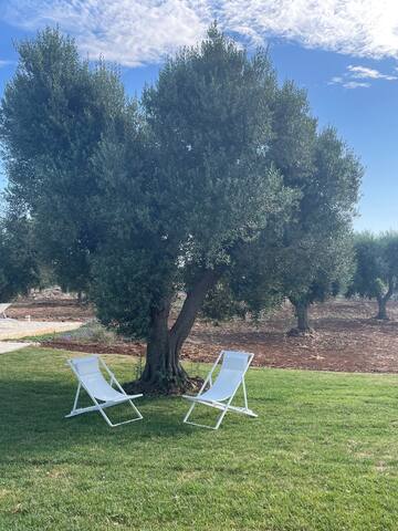 Villa Karbina con Trullo e swimming pool gallery image 5