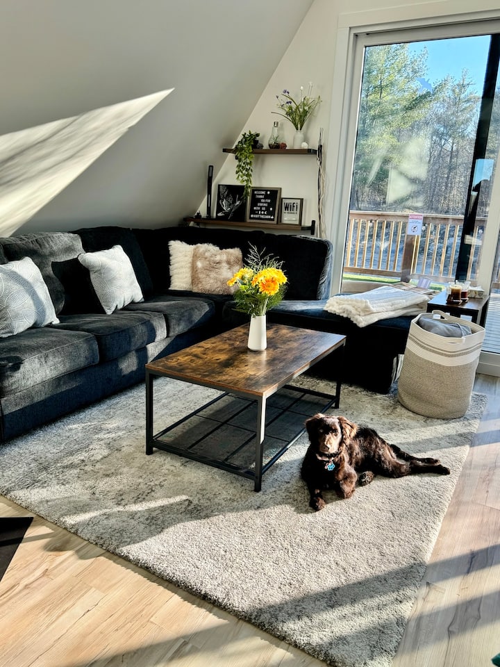 غرفة معيشة مشرقة ومرحبة مع أريكة مقطعية مريحة ووسائد ناعمة وطاولة قهوة خشبية ريفية وإطلالات مشمسة من خلال باب زجاجي كبير. صالات كلاب لطيفة على السجادة الفخمة، مما يضيف سحرًا إلى هذا المنتجع المناسب للحيوانات الأليفة.
