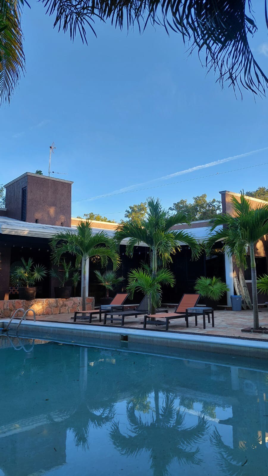 A tranquil outdoor area is highlighted, featuring a clear swimming pool surrounded by lounge chairs. Lush palm trees provide a natural backdrop, while a single-storied building with a subtle color palette is visible in the distance, integrating harmoniously with the serene environment.