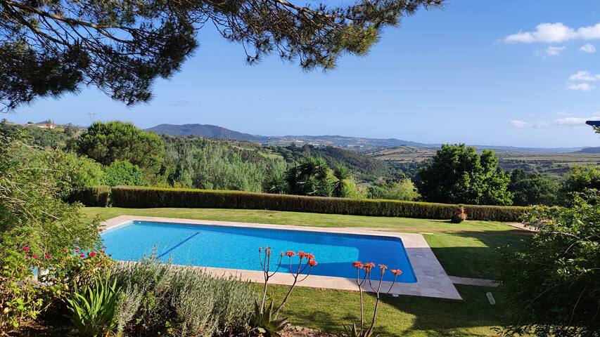 El Molino gallery image 3