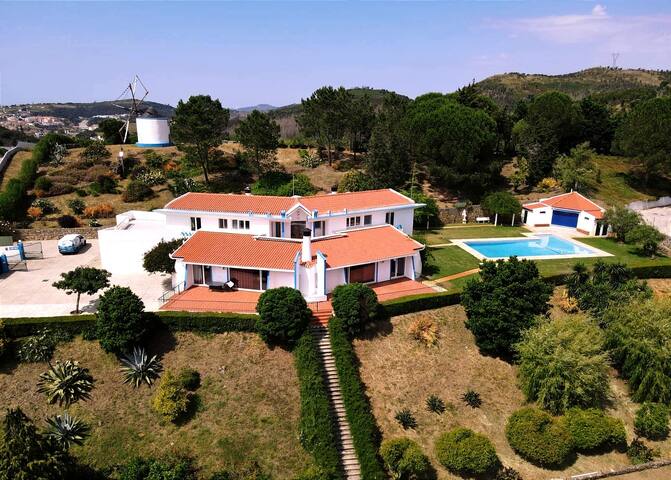 El Molino gallery image 2