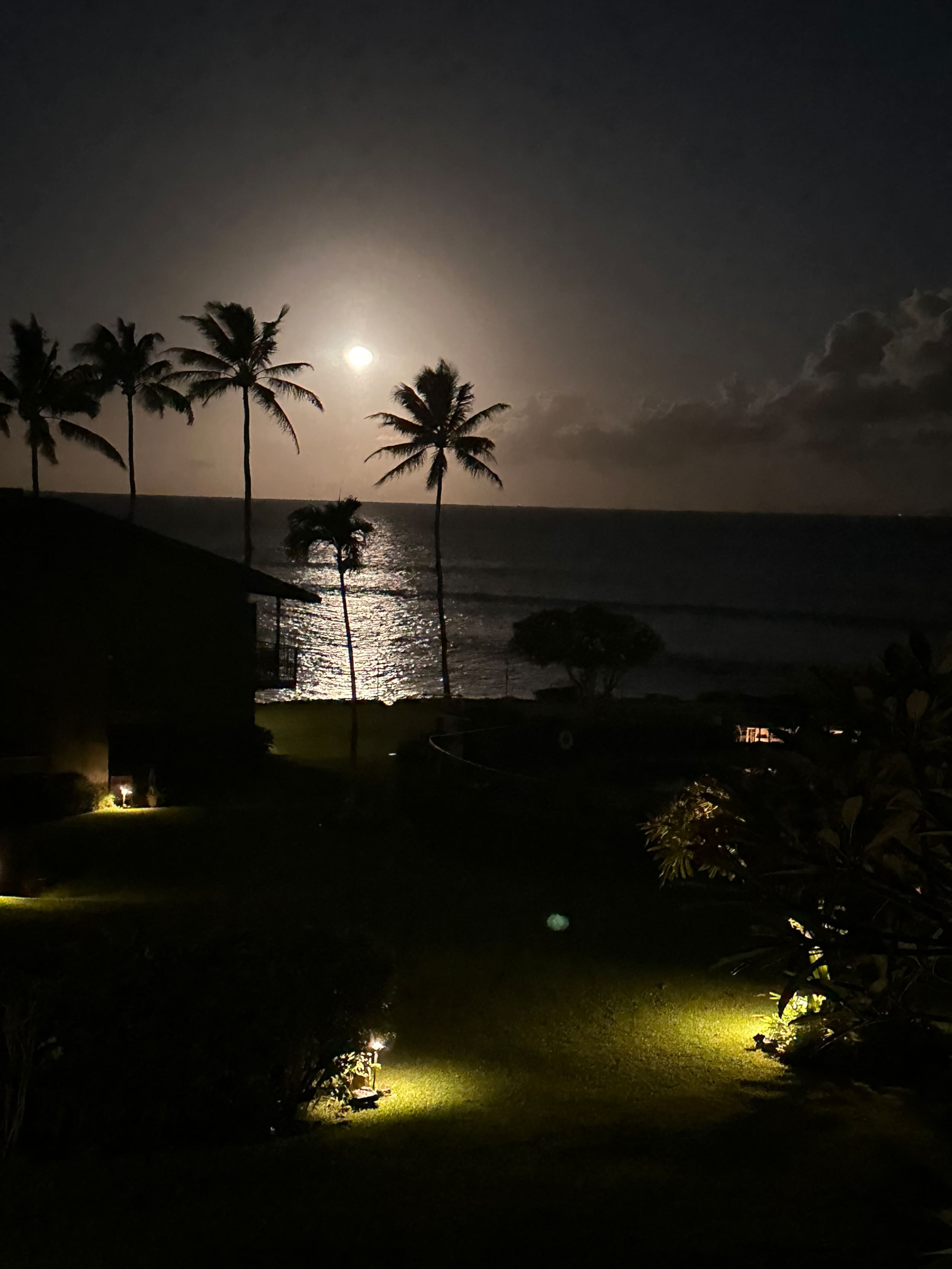 Exceptional Oceanviews-Last minute openings - Photo 17