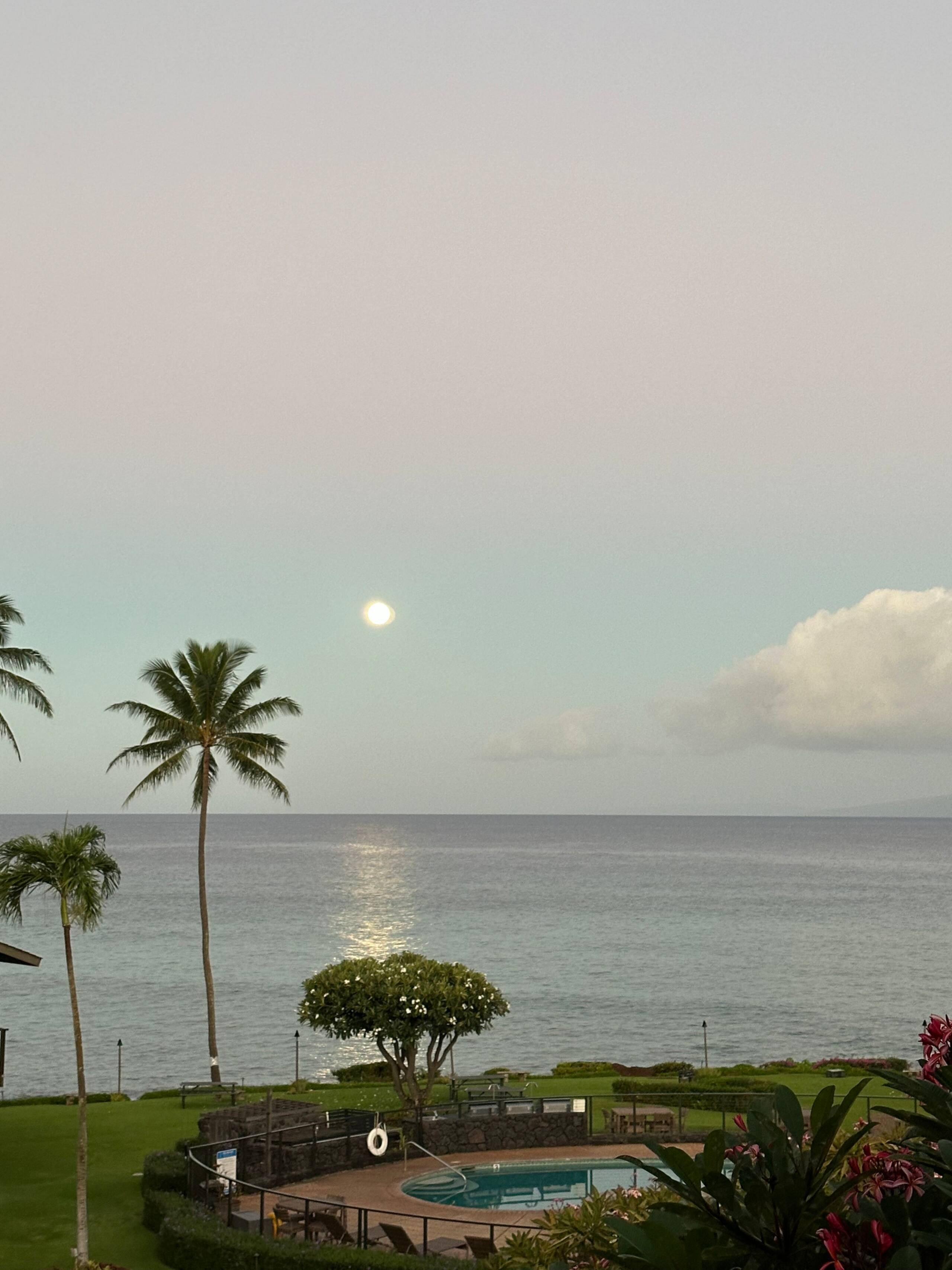 Exceptional Oceanviews-Last minute openings - Photo 15