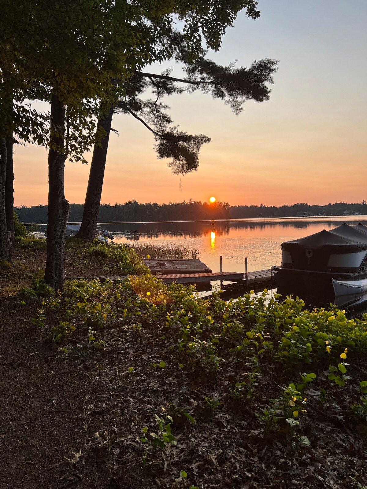 The early morning scene displays a calm lake at sunrise, with soft orange and pink hues reflecting off the water. Tall trees line the shore, and boats are docked along the wooden pier. Lush greenery frames the path leading to the lakeside.