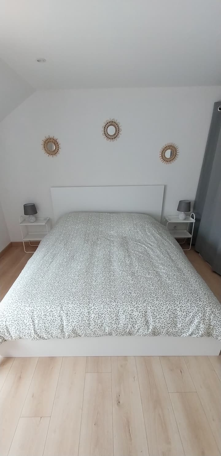 Habitación 1