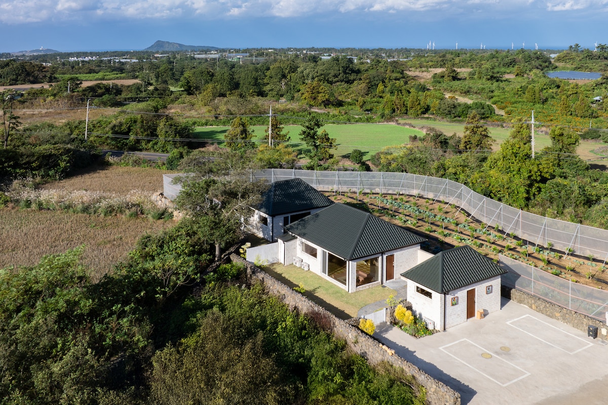 An aerial view of a single-story vacation home is presented, featuring a dark green roof and large windows that provide natural light. Surrounding landscapes include lush fields and a fence that borders a garden area, with distant hills visible under a clear blue sky.