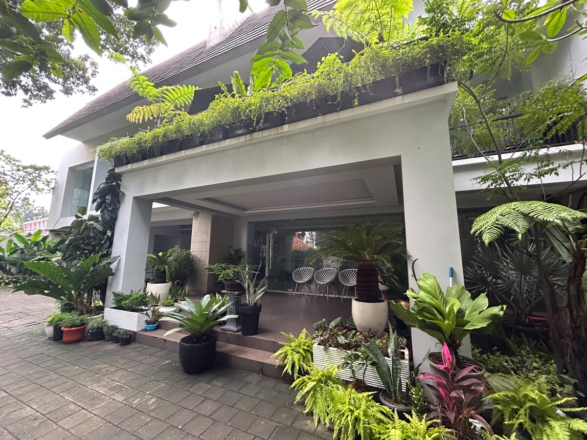 A spacious entrance is framed by lush greenery, featuring various potted plants and ferns. The covered area showcases several woven chairs arranged around a central space, providing a welcoming spot for relaxation.