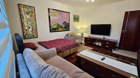 Luxorious apartment in the city