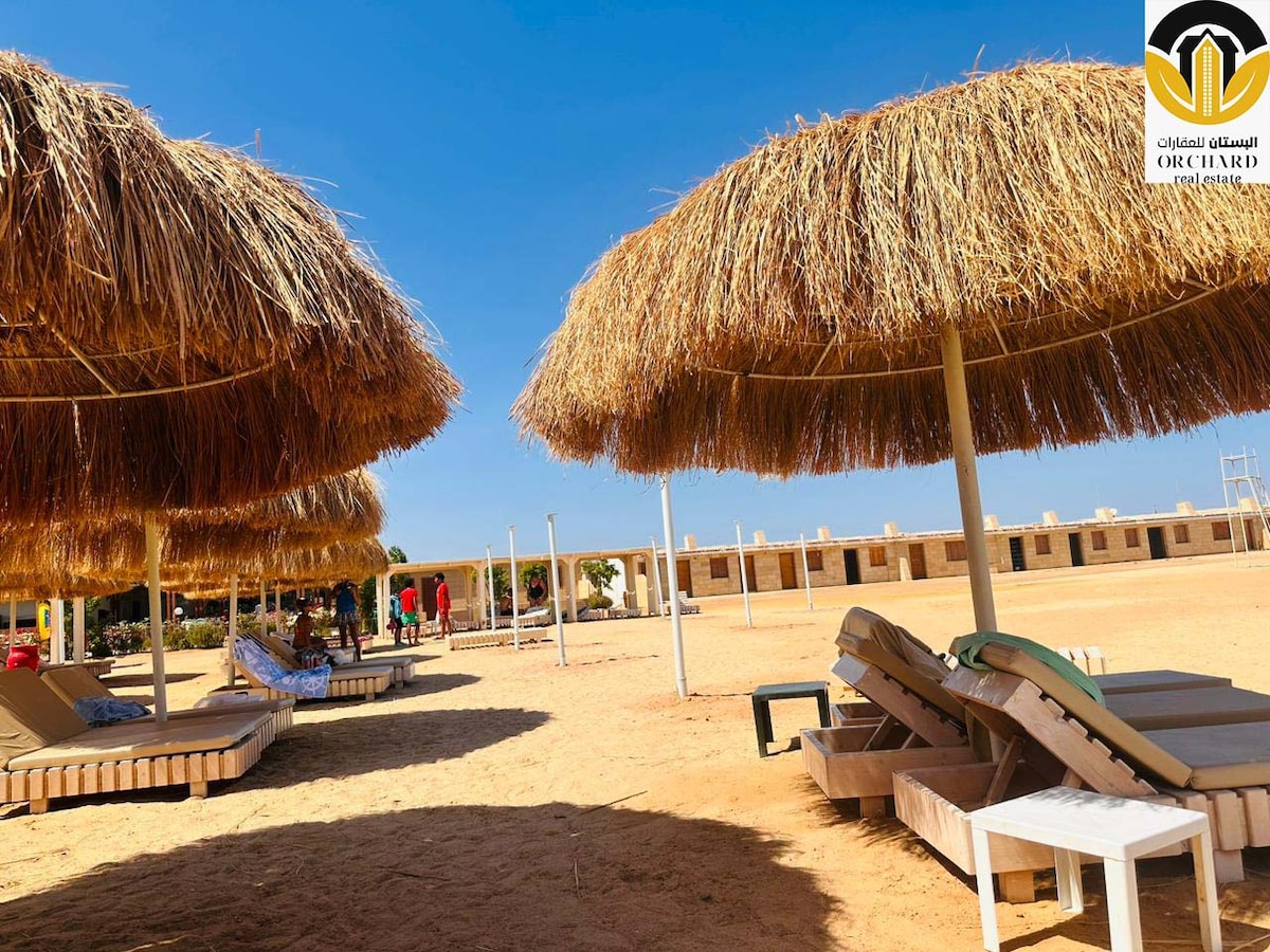 A sunlit beach area is characterized by straw umbrellas providing shade over wooden loungers. The sandy landscape is punctuated by a sprawling view of the resort's facilities in the background, inviting relaxation and leisure.
