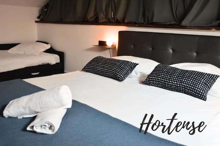 Camera da letto della casa Hortense, casa principale antico fienile ristrutturato. Questa zona notte ha 1 letto matrimoniale matrimoniale 160 cm e 2 letti estraibili 1 posto. Quindi 4 posti letto. La TV è proprio di fronte al letto matrimoniale e si gode di un bagno.