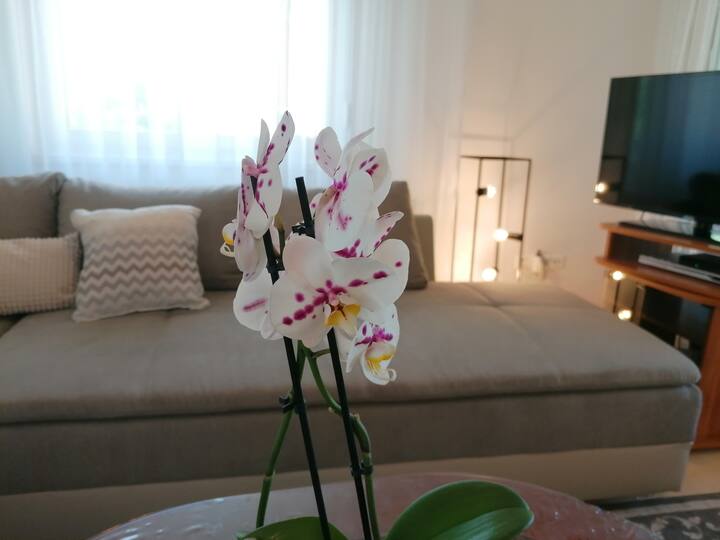 Balaton Golden Coast Beach Apartment - Siófok
