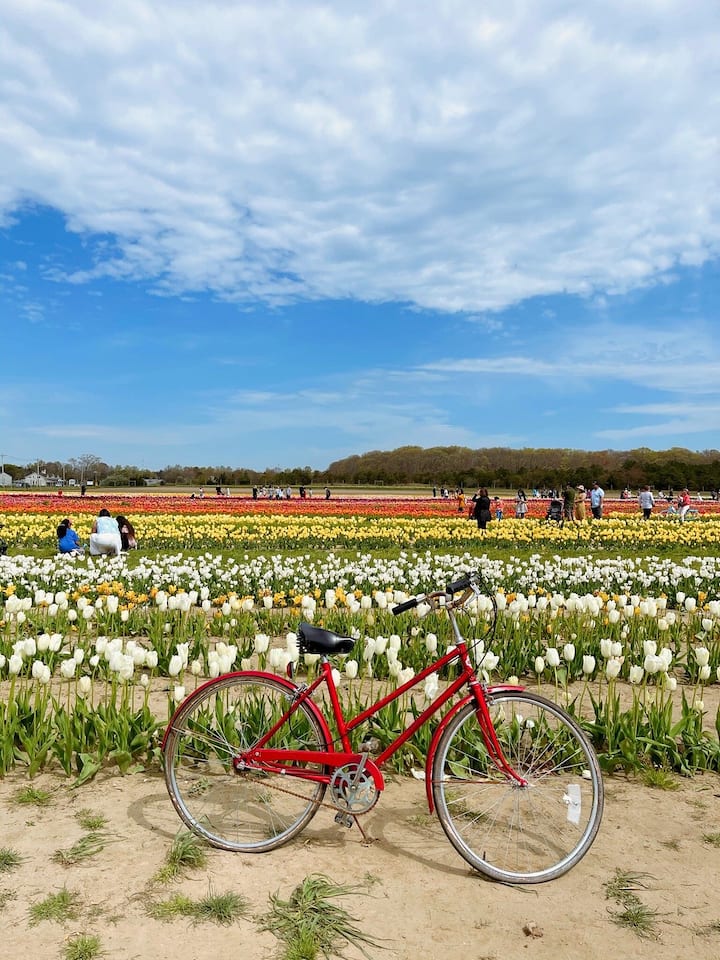 East Quogue Vacation Rentals Airbnb