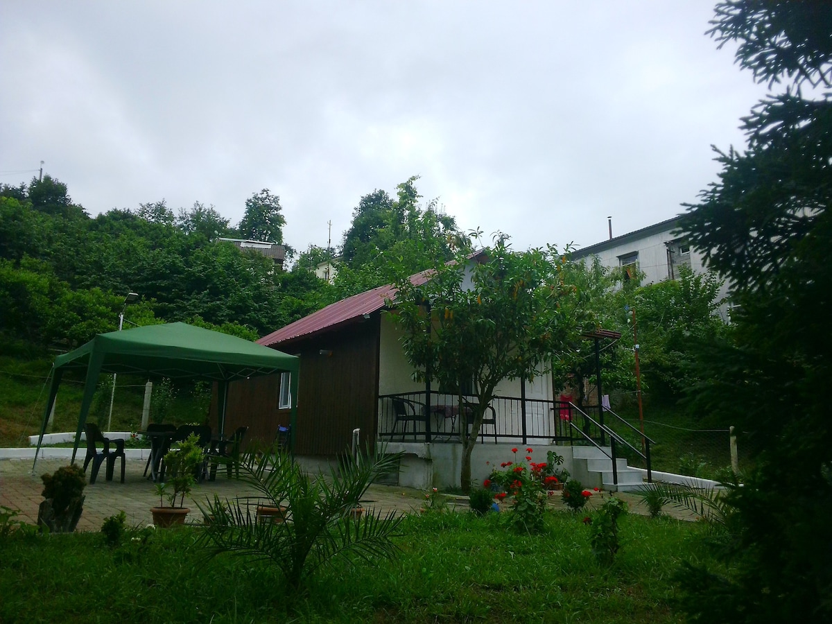 A charming wooden house is nestled in a green hillside, surrounded by lush trees. A gazebo with seating is visible nearby, with a paved area providing additional outdoor space. Potted plants and colorful flowers are scattered throughout the garden, enhancing the natural setting.