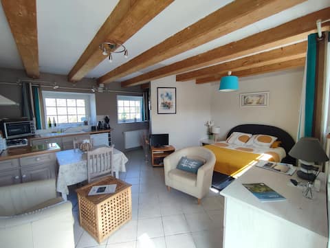Top performing Airbnb: Spacious studio in Landéda