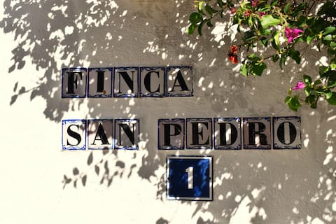 Airbnb con mejor rendimiento: Finca San Pedro - Jacaranda Room en Los Realejos