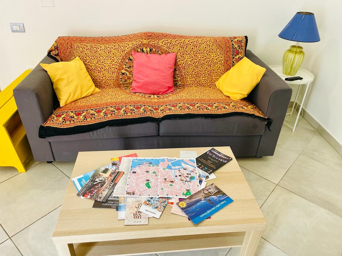 Proprietà Airbnb di successo: Penthouse in Venice with parking space a Livorno