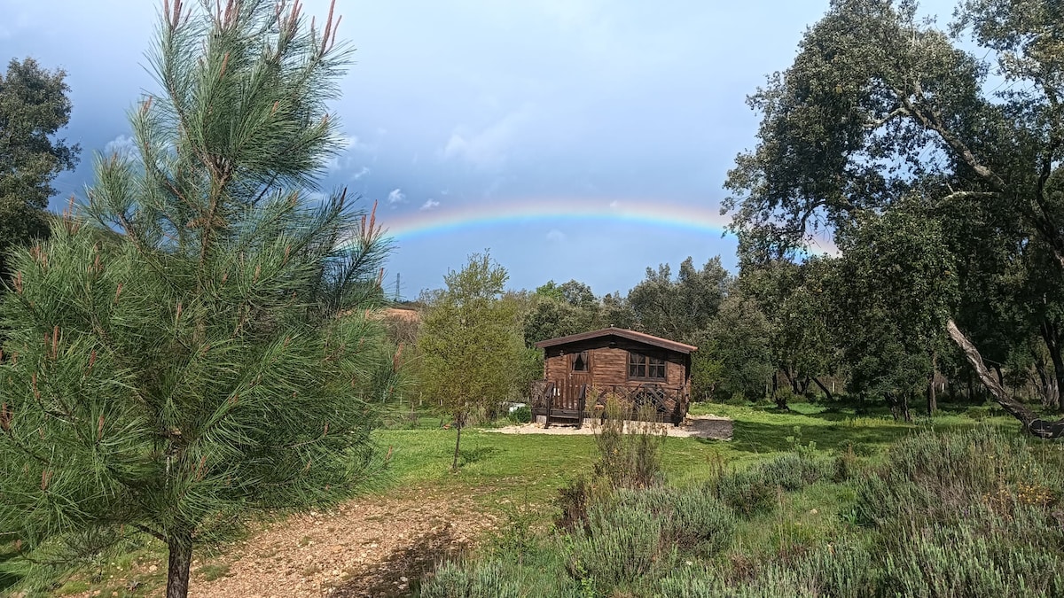 A wooden cabin is positioned amidst lush greenery, with a rainbow arching gracefully in the background. Surrounding trees and plants create a natural setting, enhancing the cabin's rustic charm.