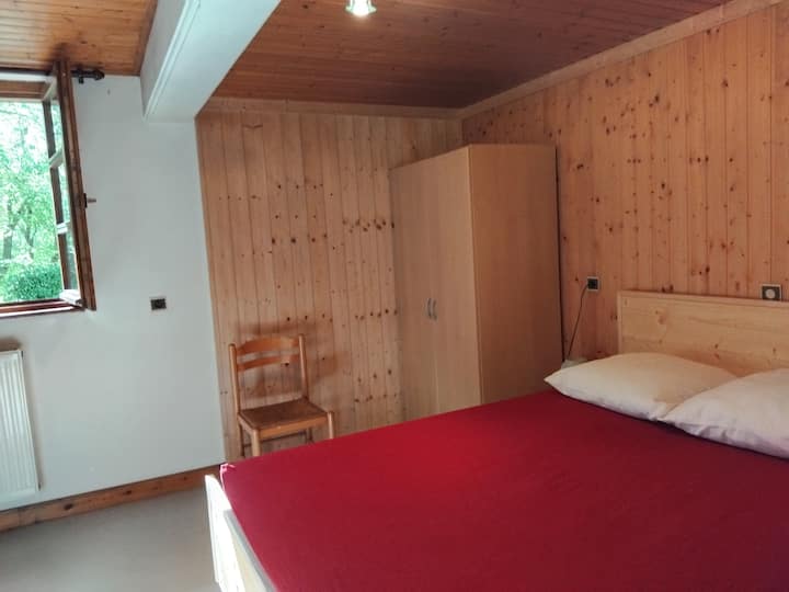 Gîte 3 Pers. Village De Montagne - Colroy-la-Roche