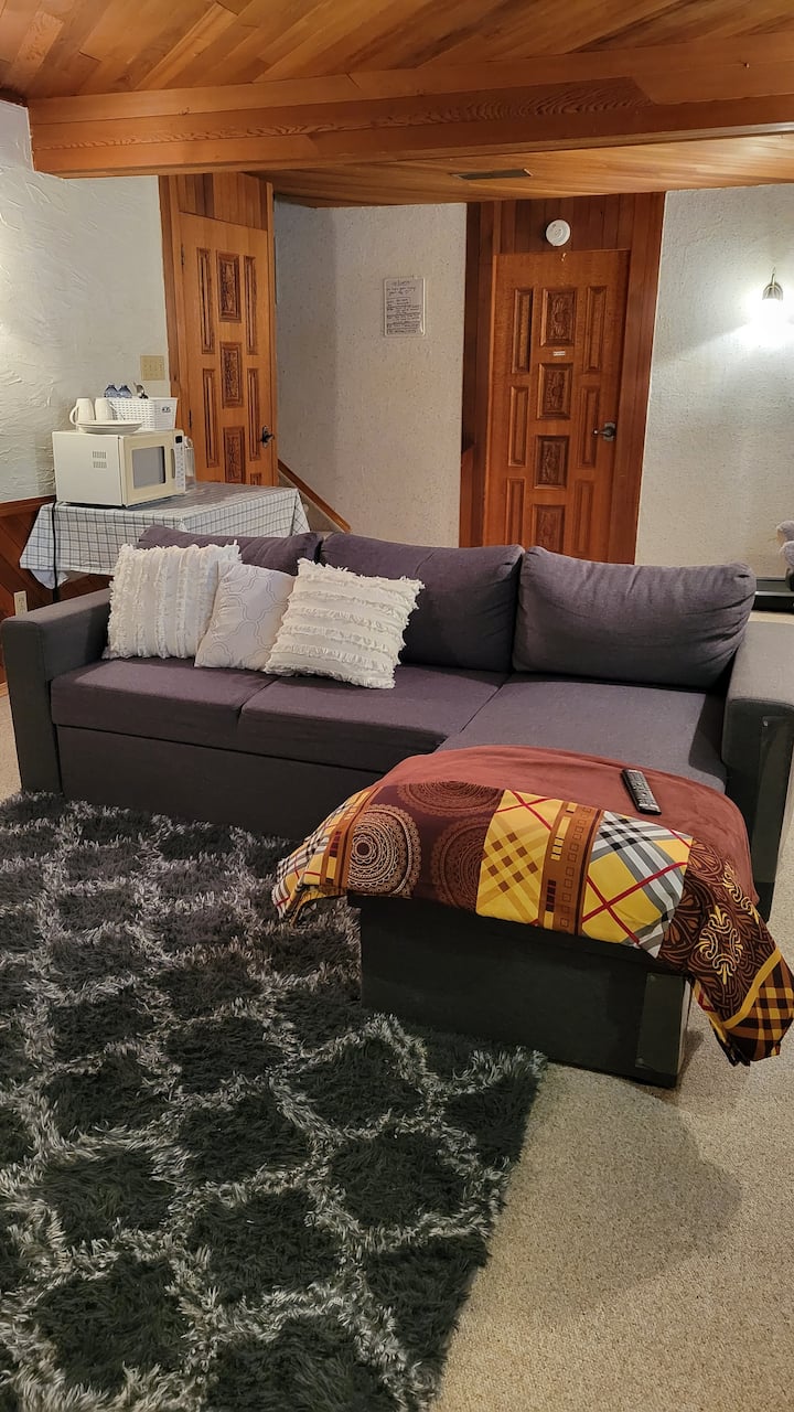 Private Basement Apt With 3pc Wash & Living Room. - Edmonton