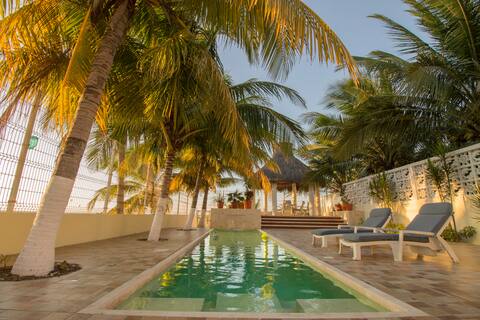 Luna and Sol, cute oceanfront house with a pool.