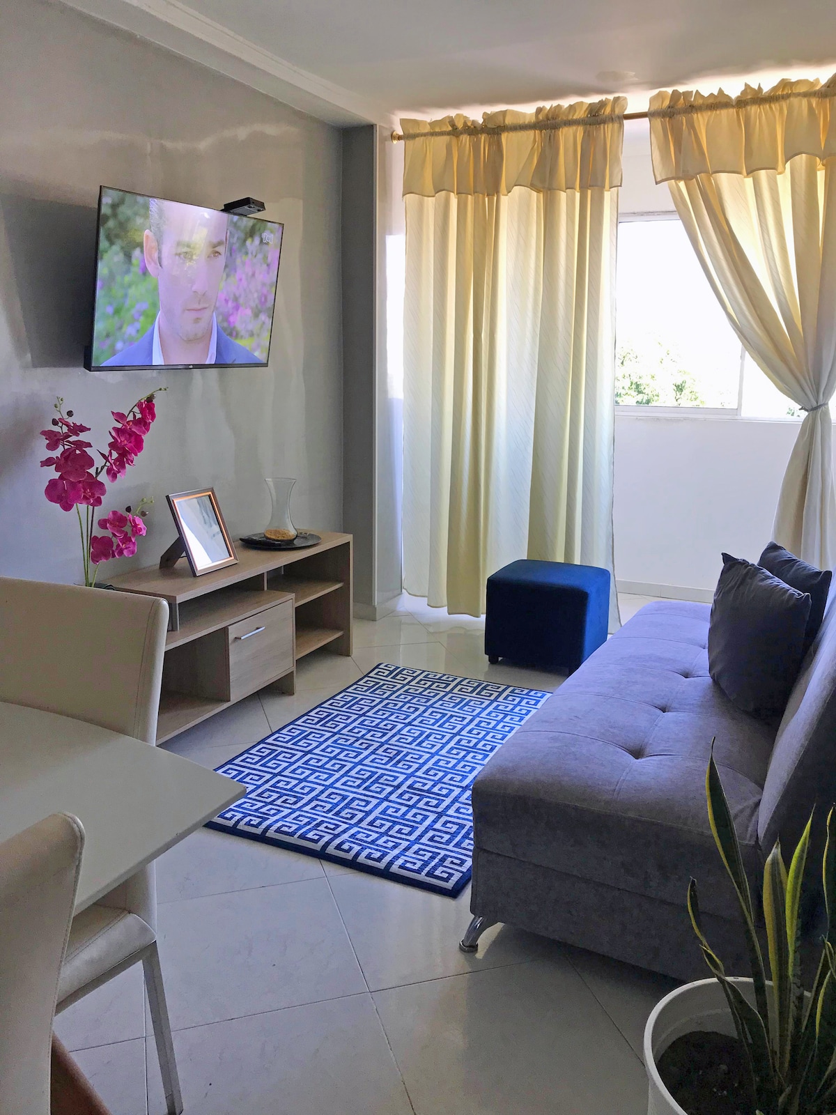 A living area is presented with a comfortable sofa and a patterned area rug. A television is mounted on the wall, complemented by light curtains that allow natural light to fill the space. Decorative plants and a small table add a homey touch.