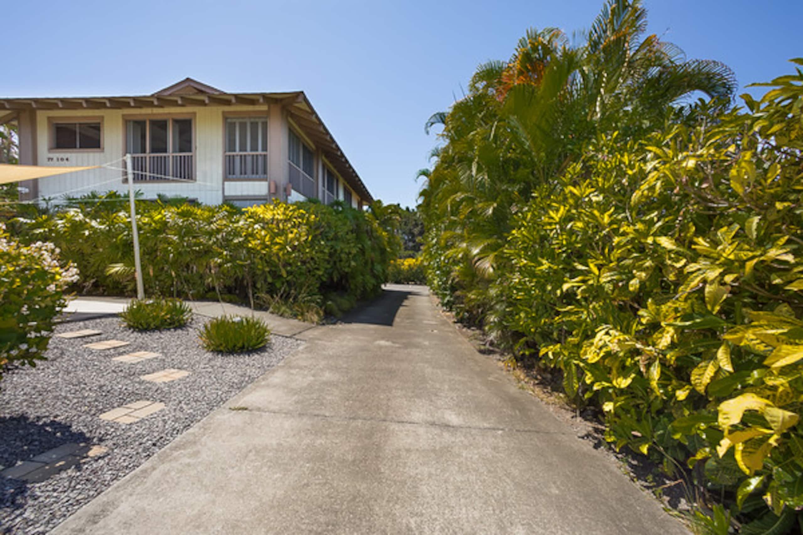 Condo in Kailua-Kona · ★4.81 · 1 bedroom · 1 bed · 1 bath - Image 18