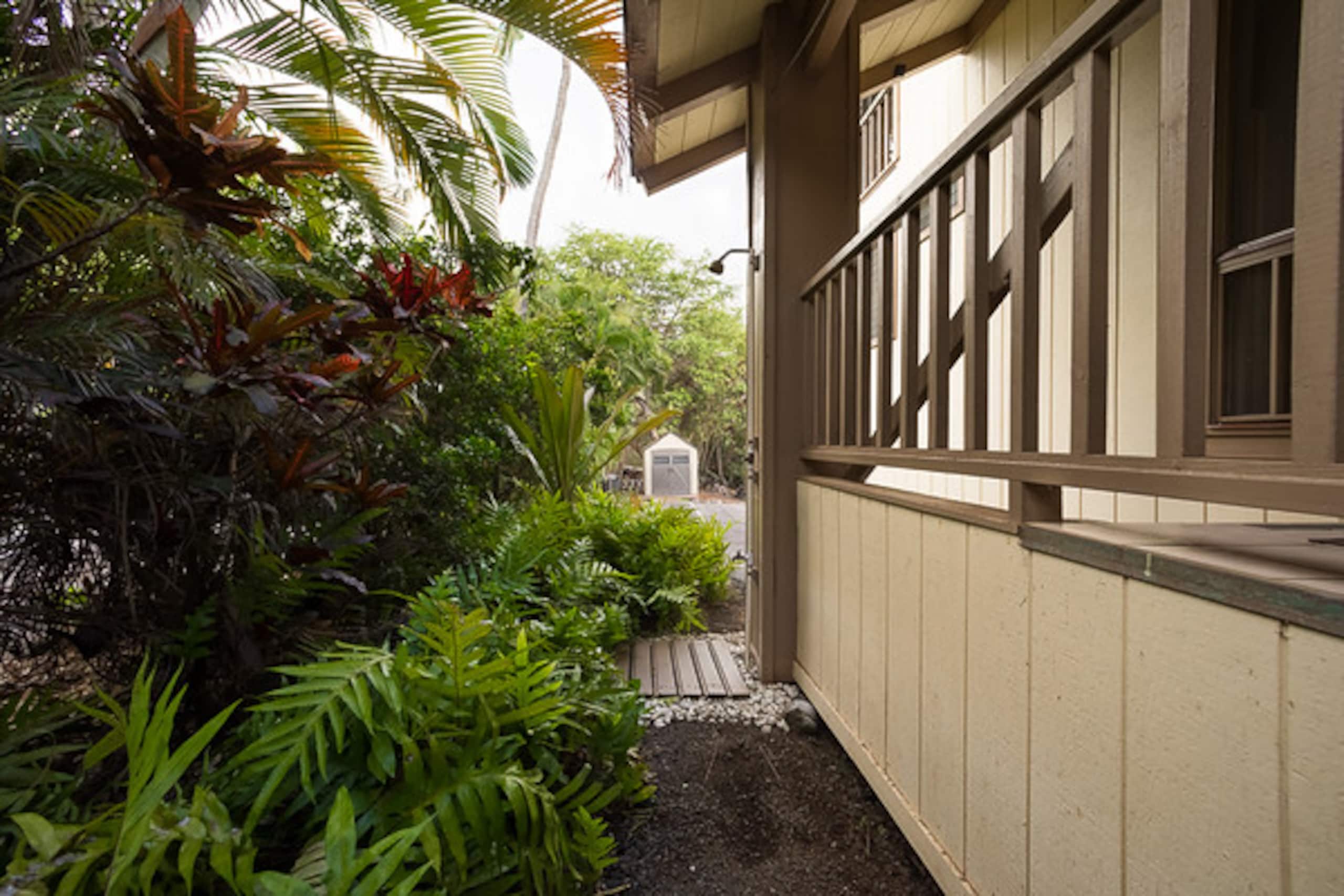 Condo in Kailua-Kona · ★4.81 · 1 bedroom · 1 bed · 1 bath - Image 26