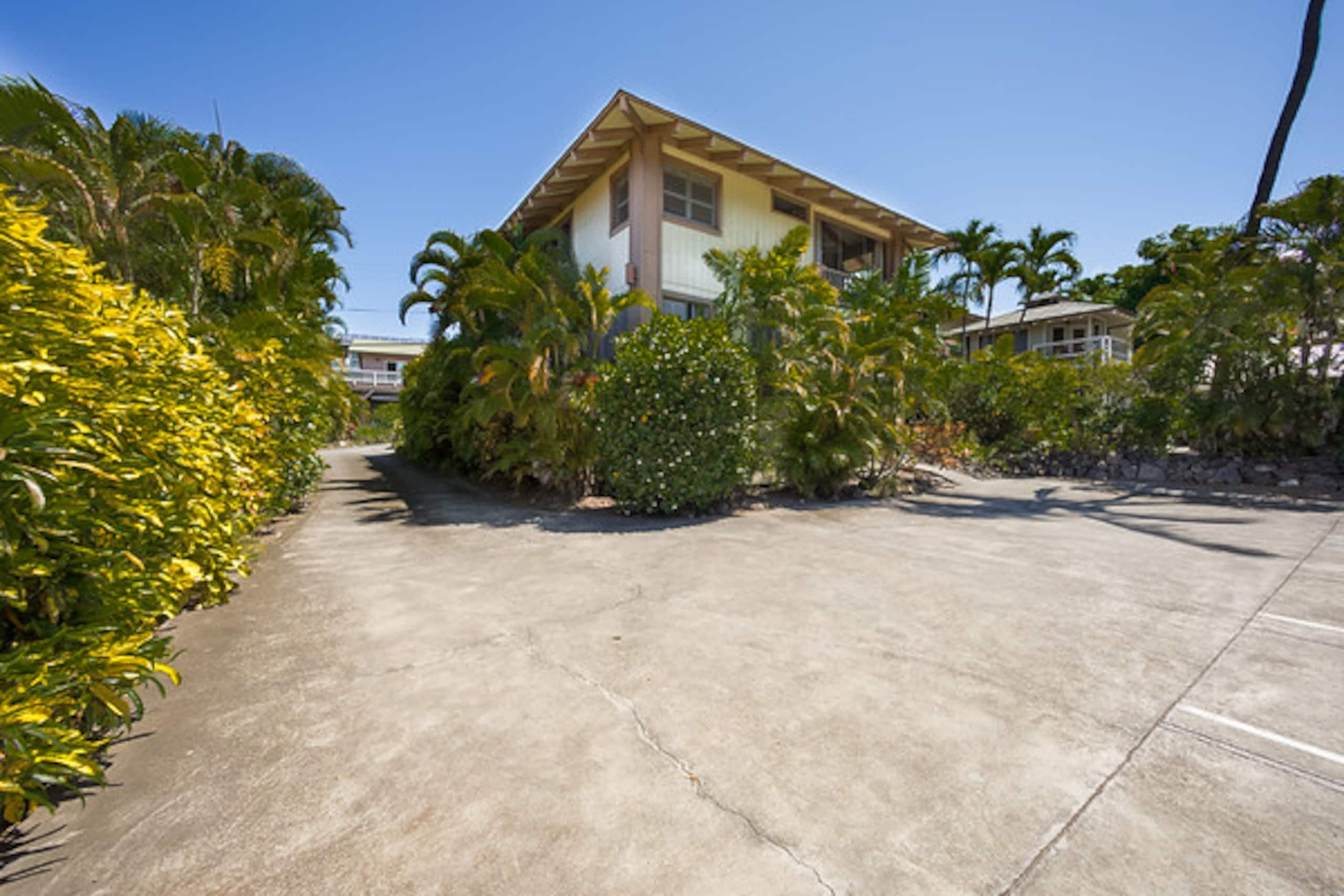 Condo in Kailua-Kona · ★4.81 · 1 bedroom · 1 bed · 1 bath - Image 17