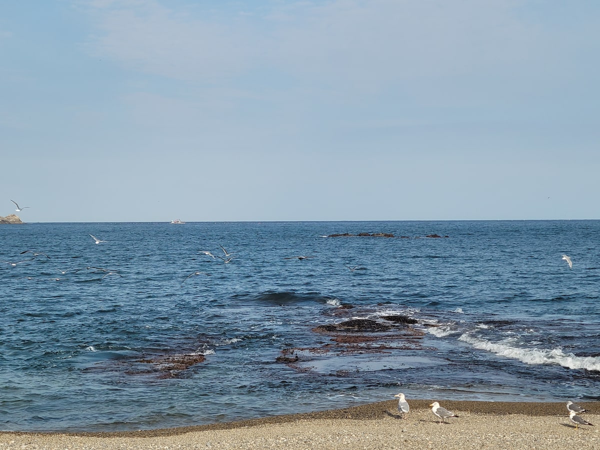 The image captures a serene coastal landscape, featuring the calm blue sea against a clear sky. Small waves lap at a sandy beach dotted with seagulls, while distant boats can be seen in the water. The horizon blends seamlessly into the ocean, creating a tranquil atmosphere.