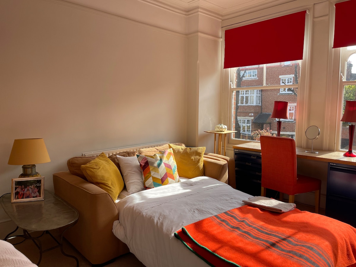 c'est la photo du canapé-lit à tiroir.  Pris du point de vue du lit simple.