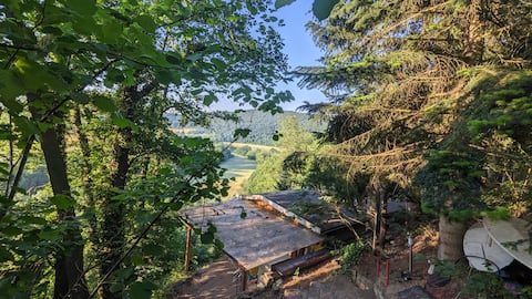 Rare natural location - Eifel National Park - forest hut