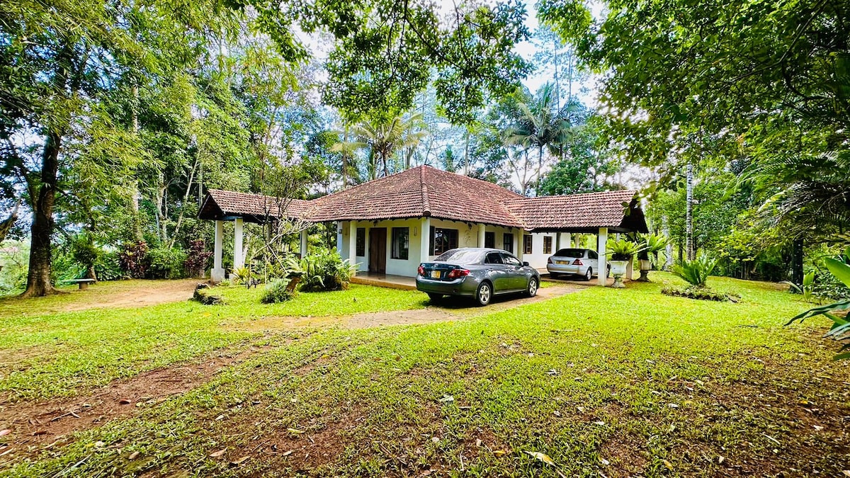 A spacious single-story house is framed by lush greenery and tall trees. A driveway leads to the entrance, where a parked car is visible. The structured roof with wooden shingles complements the natural surroundings, providing a sense of tranquility.